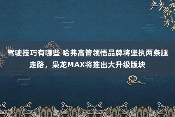 驾驶技巧有哪些 哈弗高管领悟品牌将坚执两条腿走路，枭龙MAX将推出大升级版块